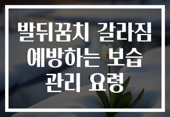 발뒤꿈치 갈라짐 예방하는 보습 관리 요령