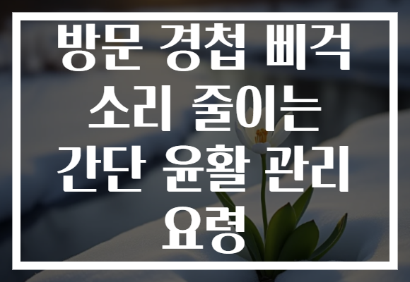 방문 경첩 삐걱 소리 줄이는 간단 윤활 관리 요령