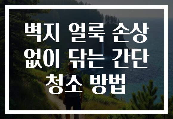 벽지 얼룩 손상 없이 닦는 간단 청소 방법