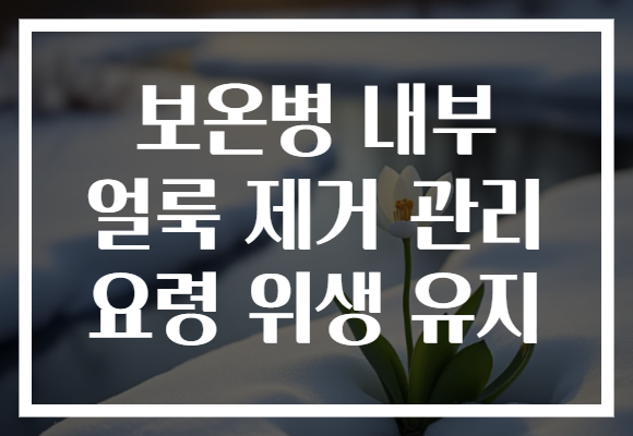 보온병 내부 얼룩 제거 관리 요령 위생 유지