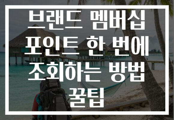 브랜드 멤버십 포인트 한 번에 조회하는 방법 꿀팁