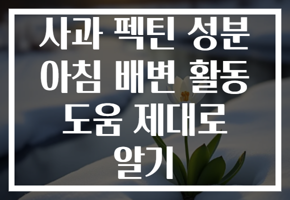 사과 펙틴 성분 아침 배변 활동 도움 제대로 알기