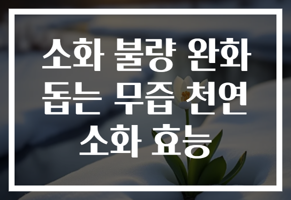 소화 불량 완화 돕는 무즙 천연 소화 효능