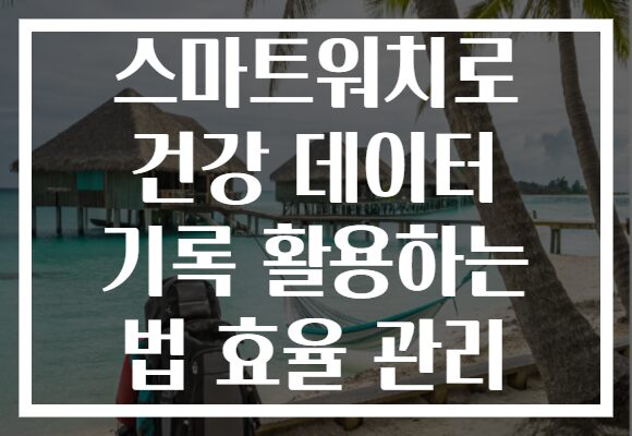 스마트워치로 건강 데이터 기록 활용하는 법 효율 관리