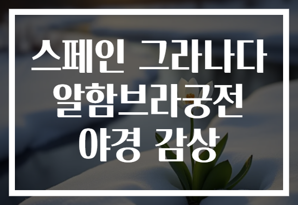 스페인 그라나다 알함브라궁전 야경 감상