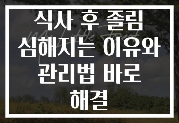 식사 후 졸림 심해지는 이유와 관리법 바로 해결