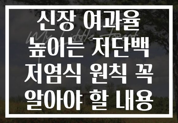 신장 여과율 높이는 저단백 저염식 원칙 꼭 알아야 할 내용