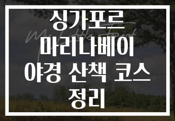 싱가포르 마리나베이 야경 산책 코스 정리