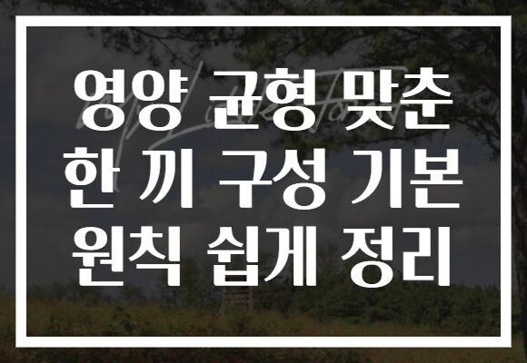 영양 균형 맞춘 한 끼 구성 기본 원칙 쉽게 정리