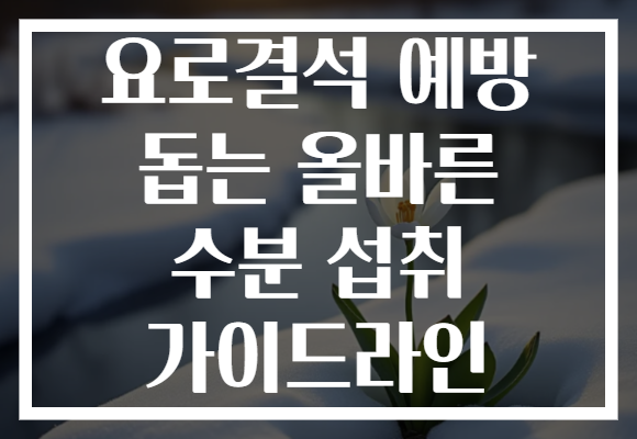 요로결석 예방 돕는 올바른 수분 섭취 가이드라인