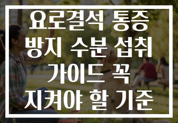 요로결석 통증 방지 수분 섭취 가이드 꼭 지켜야 할 기준