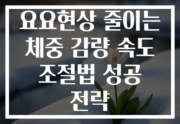 요요현상 줄이는 체중 감량 속도 조절법 성공 전략