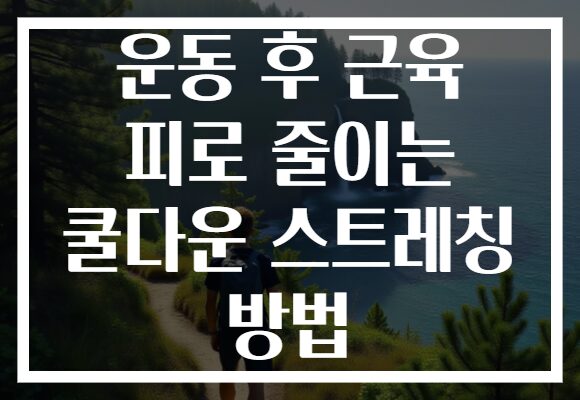 운동 후 근육 피로 줄이는 쿨다운 스트레칭 방법