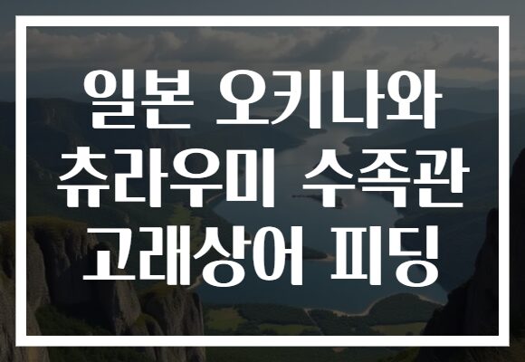 일본 오키나와 츄라우미 수족관 고래상어 피딩