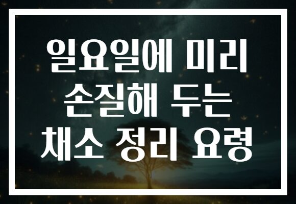 일요일에 미리 손질해 두는 채소 정리 요령