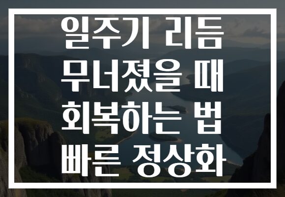일주기 리듬 무너졌을 때 회복하는 법 빠른 정상화