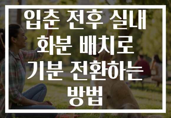 입춘 전후 실내 화분 배치로 기분 전환하는 방법
