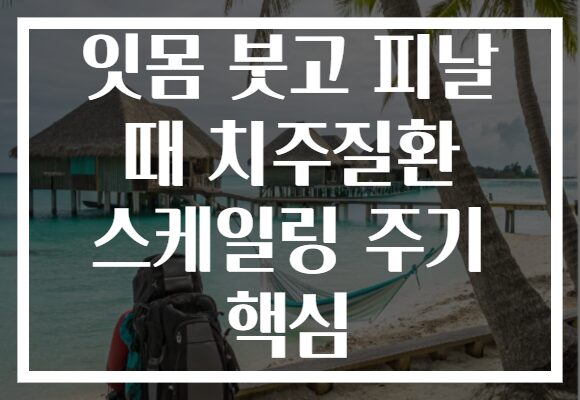 잇몸 붓고 피날 때 치주질환 스케일링 주기 핵심