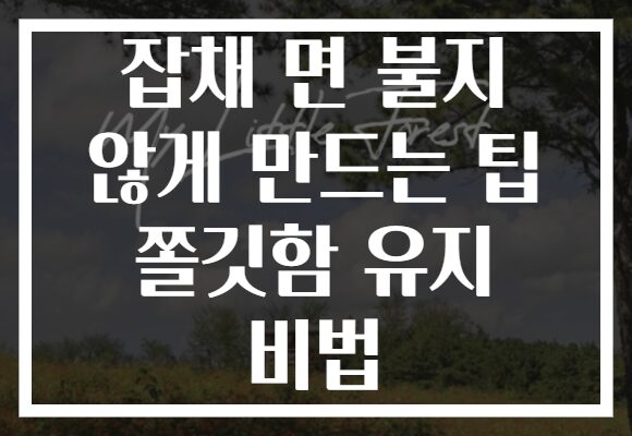 잡채 면 불지 않게 만드는 팁 쫄깃함 유지 비법
