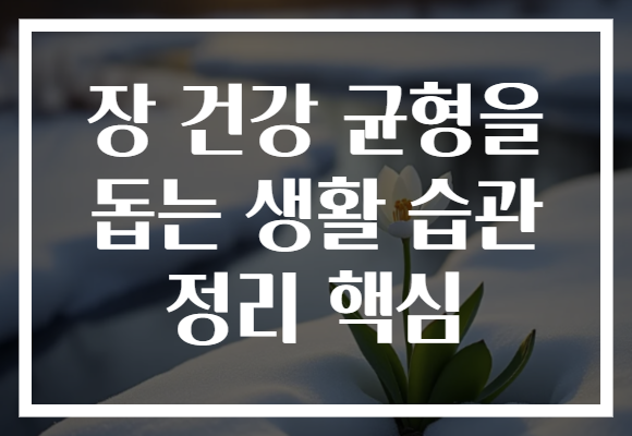 장 건강 균형을 돕는 생활 습관 정리 핵심