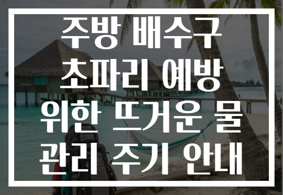 주방 배수구 초파리 예방 위한 뜨거운 물 관리 주기 안내