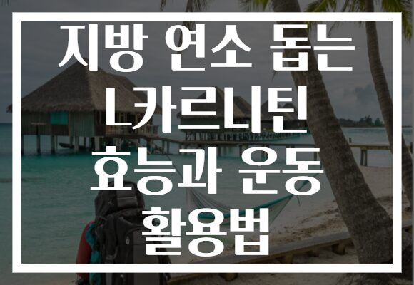 지방 연소 돕는 L카르니틴 효능과 운동 활용법