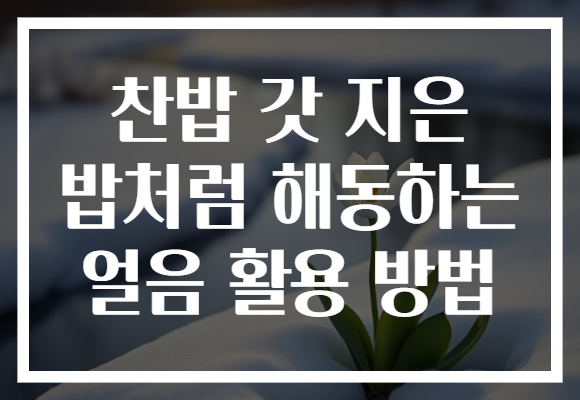 찬밥 갓 지은 밥처럼 해동하는 얼음 활용 방법