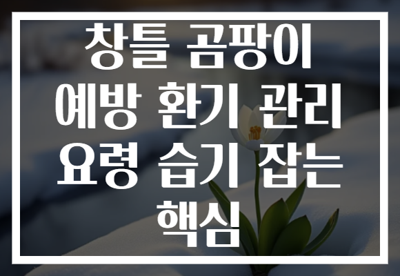 창틀 곰팡이 예방 환기 관리 요령 습기 잡는 핵심