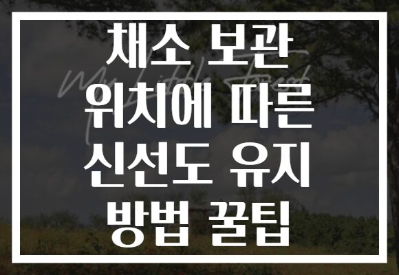 채소 보관 위치에 따른 신선도 유지 방법 꿀팁