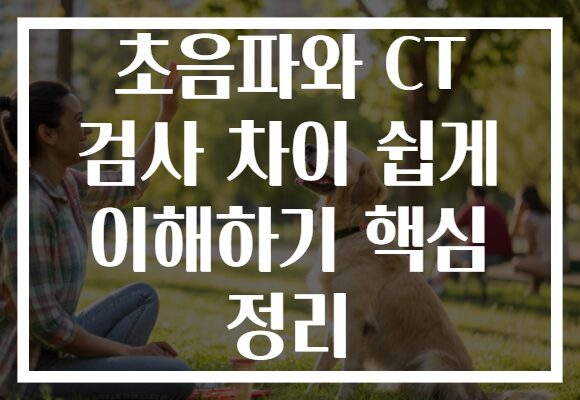 초음파와 CT 검사 차이 쉽게 이해하기 핵심 정리