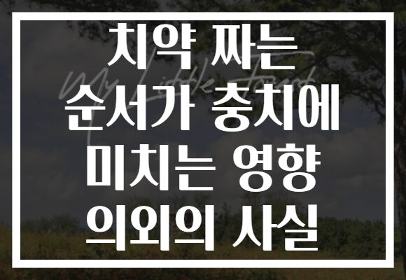 치약 짜는 순서가 충치에 미치는 영향 의외의 사실