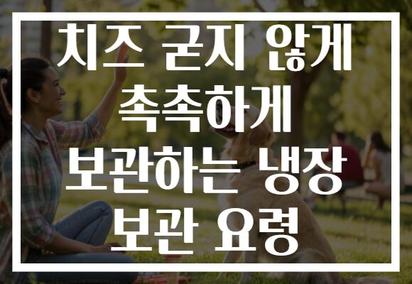 치즈 굳지 않게 촉촉하게 보관하는 냉장 보관 요령