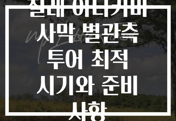 칠레 아타카마 사막 별관측 투어 최적 시기와 준비 사항