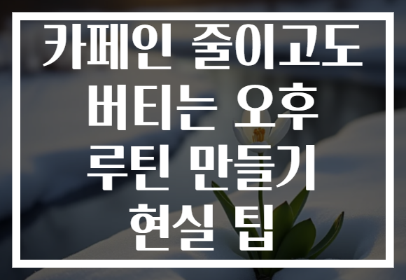 카페인 줄이고도 버티는 오후 루틴 만들기 현실 팁