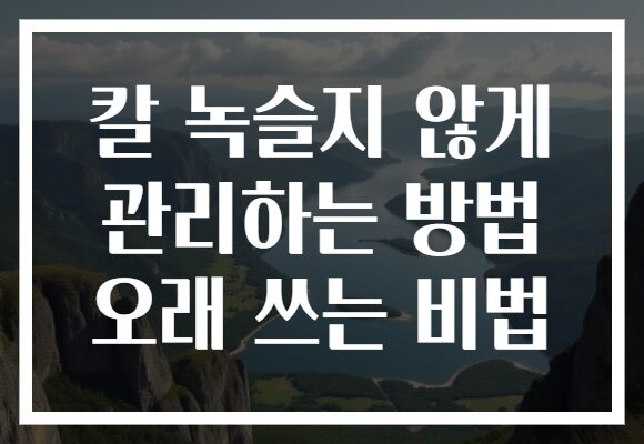 칼 녹슬지 않게 관리하는 방법 오래 쓰는 비법