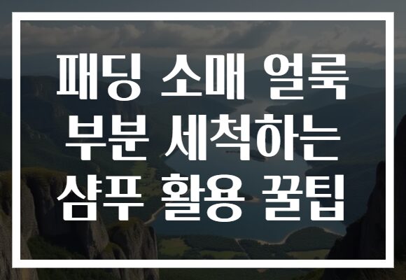 패딩 소매 얼룩 부분 세척하는 샴푸 활용 꿀팁