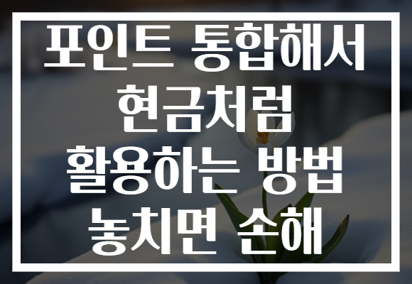 포인트 통합해서 현금처럼 활용하는 방법 놓치면 손해