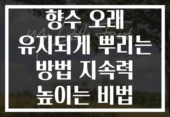 향수 오래 유지되게 뿌리는 방법 지속력 높이는 비법
