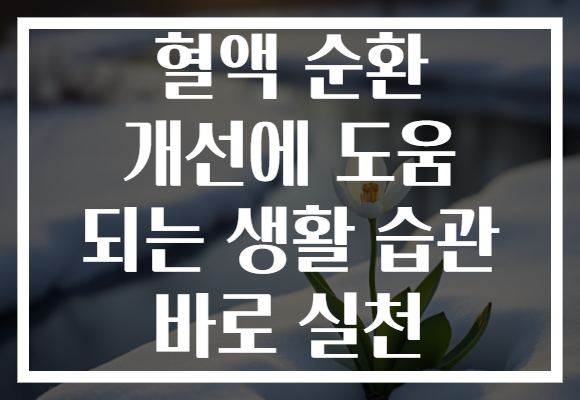 혈액 순환 개선에 도움 되는 생활 습관 바로 실천