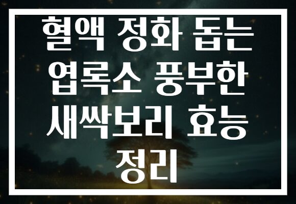 혈액 정화 돕는 엽록소 풍부한 새싹보리 효능 정리