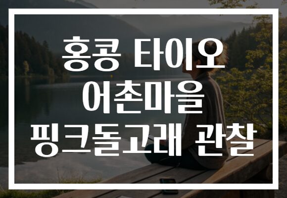 홍콩 타이오 어촌마을 핑크돌고래 관찰