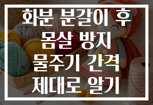 화분 분갈이 후 몸살 방지 물주기 간격 제대로 알기