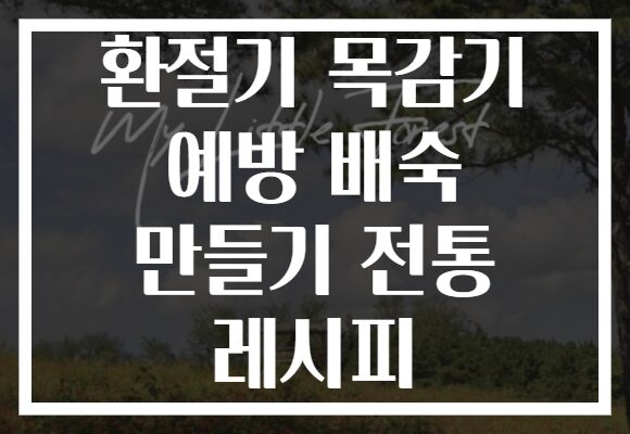 환절기 목감기 예방 배숙 만들기 전통 레시피