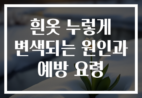 흰옷 누렇게 변색되는 원인과 예방 요령