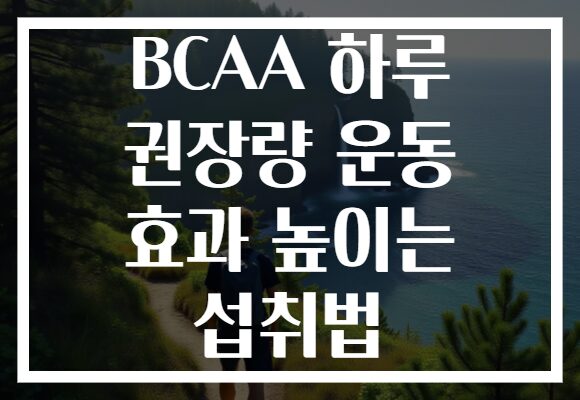 BCAA 하루 권장량 운동 효과 높이는 섭취법