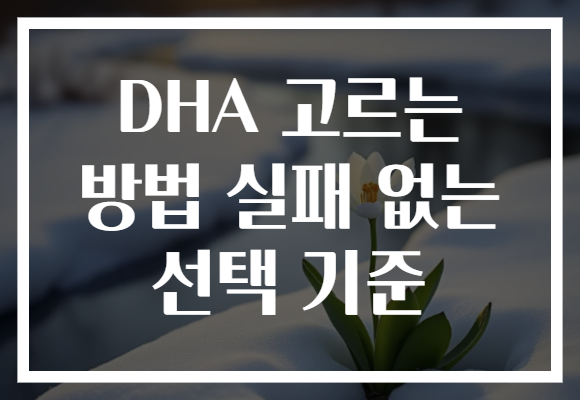 DHA 고르는 방법 실패 없는 선택 기준