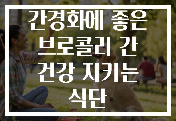 간경화에 좋은 브로콜리 간 건강 지키는 식단