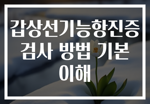 갑상선기능항진증 검사 방법 기본 이해