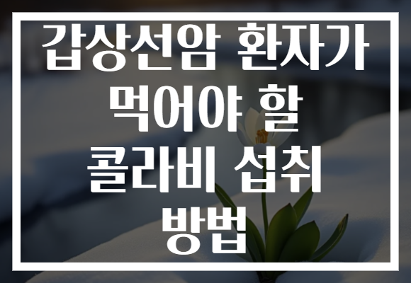 갑상선암 환자가 먹어야 할 콜라비 섭취 방법