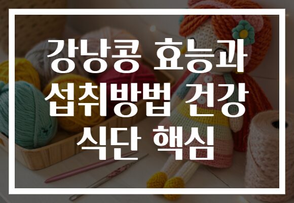 강낭콩 효능과 섭취방법 건강 식단 핵심